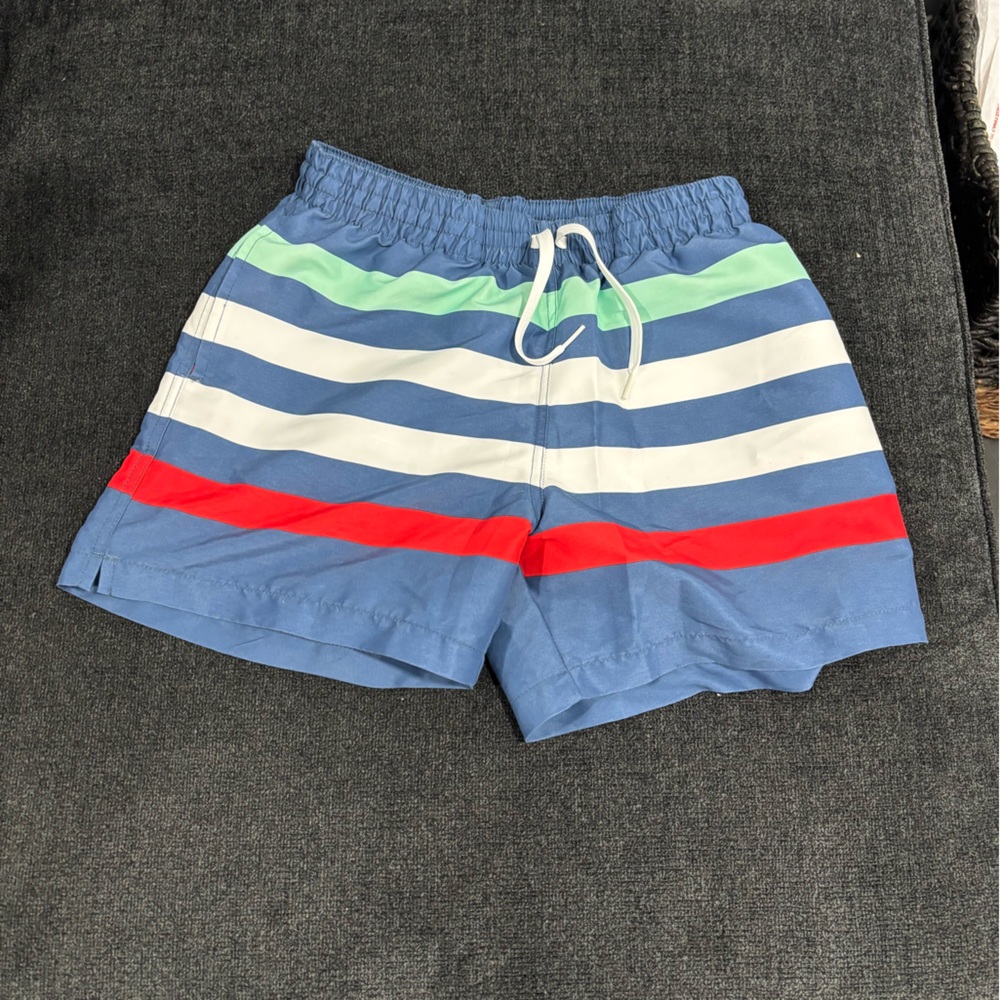 Chubbies Men's Striped Swim Trunks Shorts Medium Mesh Liner Blue Red Green White